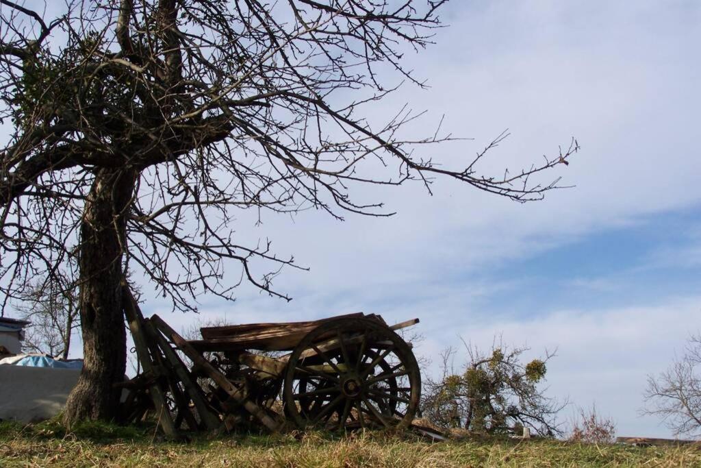 Stilvolles Landhaus Im Dreilaendereck Felsőszölnök Esterno foto