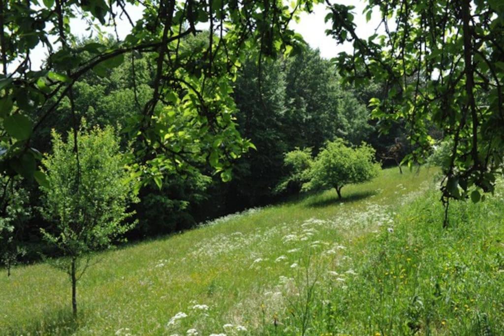 Stilvolles Landhaus Im Dreilaendereck Felsőszölnök Esterno foto